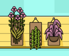 Set of Botanical Hanging Plants