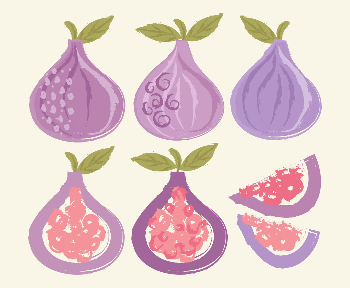 Vector Hand Drawn Figs