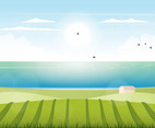 Vector Landscape illustration