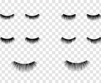Eyelashes Clipart Vector