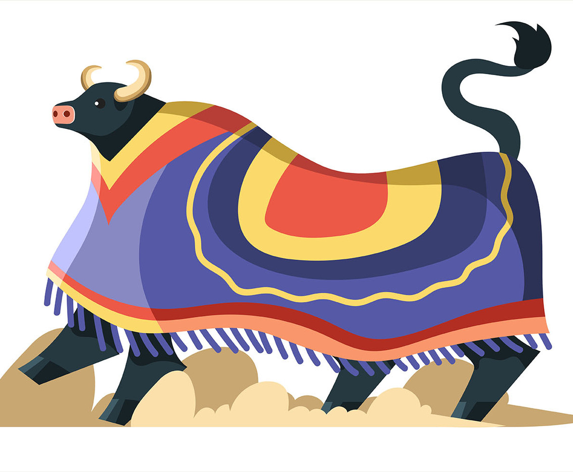 Bumba Meu Boi Bull