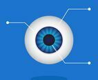 Unique Eyeball