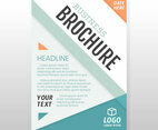 Business Brochure Design