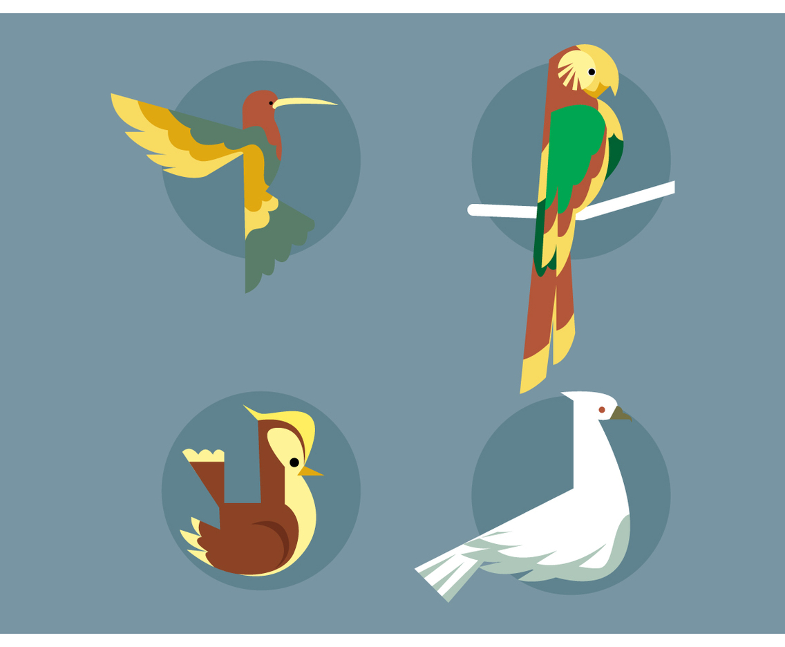 Bird Species Set Vector