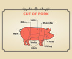 Meat Cuts of Pork Vector 