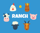 Ranch Animal